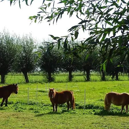 De Oude Stoffeerderij Alojamento de Acomodação e Pequeno-almoço Dussen