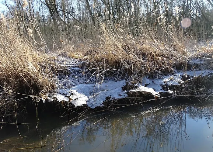 De Oude Stoffeerderij 3* Dussen