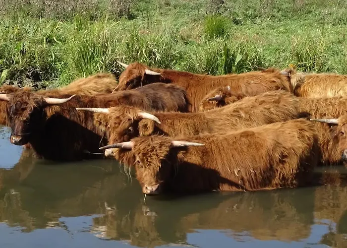 Alojamento de Acomodação e Pequeno-almoço De Oude Stoffeerderij Dussen