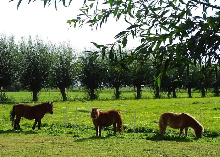 De Oude Stoffeerderij Alojamento de Acomodação e Pequeno-almoço Dussen