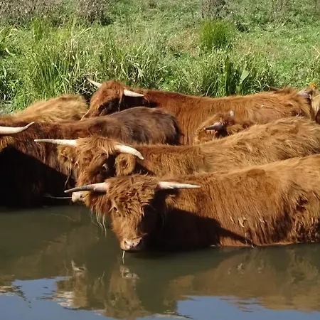 ベッド・アンド・ブレックファスト De Oude Stoffeerderij Dussen