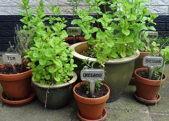 De Oude Stoffeerderij Dussen